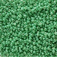 11-5105 Duracoat Galvanized Green (like DB2505) 11/0 Miyuki