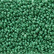 11-5106 Duracoat Galvanized Aqua Green (like DB2506) 11/0 Miyuki