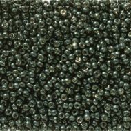 11-5107 Duracoat Galvanized Black Moss (like DB2507) 11/0 Miyuki