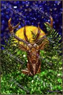 Wall Art 14 -Todj Deer - Digital Download