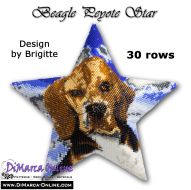 Tutorial 30 rows - Beagle 3D Peyote Star + Basic Tutorial (download link per e-mail)