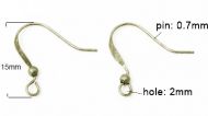 Brass Platinum Earring Hooks (10 pair)