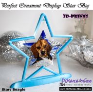 Perfect Ornament Display Star