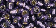 TR-06-0039 Silver-Lined Tanzanite 6/0 Toho