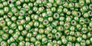 TR-11-1046 Inside-Color Luster Peridot/Opaque White Lined 11/0 Toho