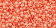 TR-11-0985 Inside-Color Crystal/Salmon Lined 11/0 Toho