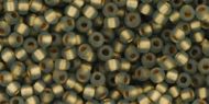 TR-11-0999F Frosted Gold-Lined Black Diamond 11/0 Toho
