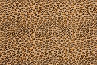 US-A Cheetah Brown UltraSuede